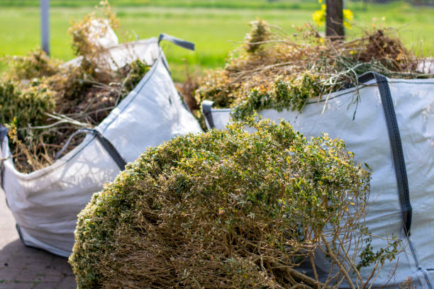 Best Electronics and E-Waste Disposal  in Elk City, OK